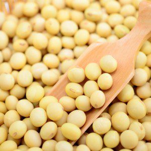 Beans PEI